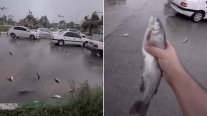 ¡De película! Lluvia se peces sorprende a habitantes de Irán